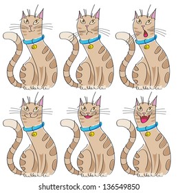 Cat with emotions