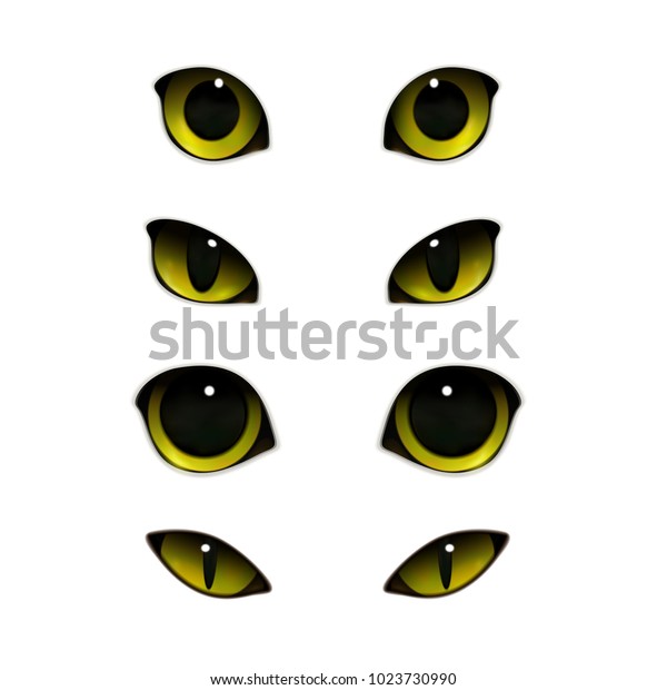 猫の感情の目には 開いたまま半分閉じた猫の目のベクターイラストを使った リアルな画像セット のベクター画像素材 ロイヤリティフリー Shutterstock