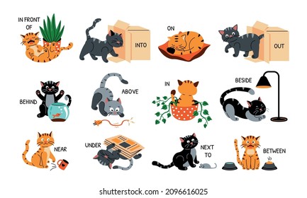 Cat in English prepositions. Cartoon cute cat near far above below behind and in front of cushion bowl with food and pot with plant. Vector set