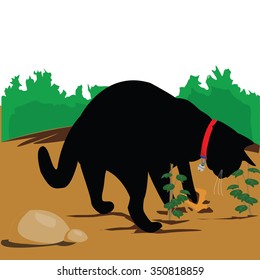 Cat excavation