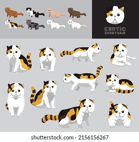 Cat Exotic Shorthair Cartoon Vector Illustration Color Variation Set