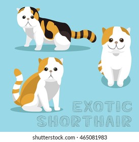 Cat Exotic Shorthair Cartoon Vector Illustration