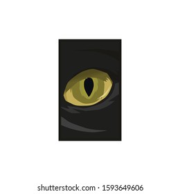 cat eye illustration and image