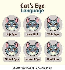 Cat Eye Language Infografik zeigt feline Emotionen und Ausdrücke