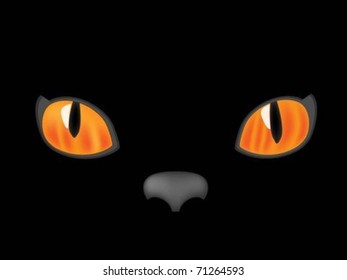 cat eyes
