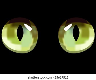 cat eyes in dark