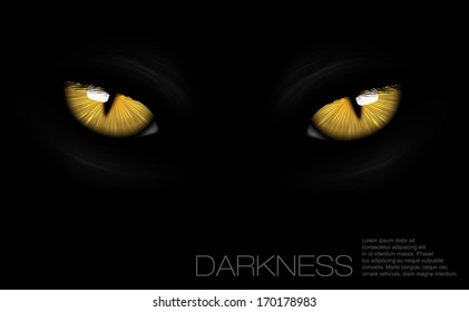 cat eyes in darkness