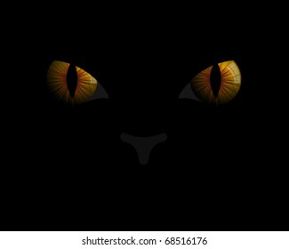 Cat  eyes in darkness