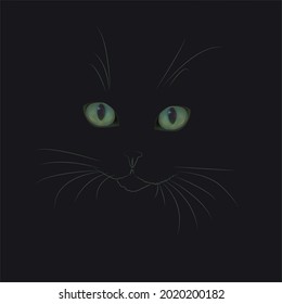 cat eyes glow in the dark, illustration for a postcard, poster, website, showcase