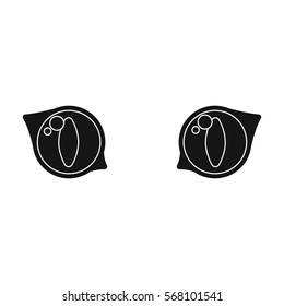 Cat eyes icon of vector illustration for web and mobile