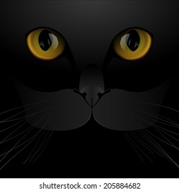 Cat eyes and nose black background