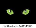 Cat eyes on black background. Feline eyes. Black cat with green eyes. Vector illustration