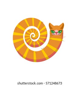 Cat fabulous isolated. long tail of Pet on white background 