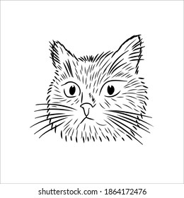 Katzengesicht. Schwarz-Weiß-Zeichnung. Färbung. die knusprigen Augen einer Katze. für die Gestaltung von Lebensmittelverpackungen, Haustierzubehör. Stoffdesign, Vorhänge. Ich liebe Katzen. Doodle, Skizze. Vektor eps10.