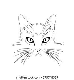 Cat  face. Black and white sketch. Vector illustration