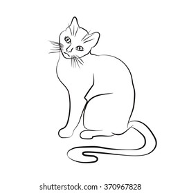 Cat  face. Black and white sketch. Vector illustration