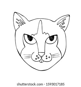 Cat face, in cartoon style, on a white background coloring book. Hand drawing coloring book for adults and children. Vector. One of a series of painted paintings. For book design, magazines, posters.