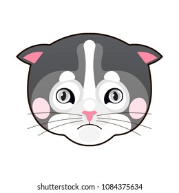 Cat face character. A cute white kitten wearing background Vector illustration for greeting card.