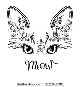 Cara de gato, gatito, maullido, boquilla animal divertida, ilustración vectorial