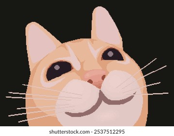 Cat face close up, pixel art meme. Vector illustration.