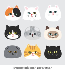 Cat face collection isolated on light grey background : Vector Illustration