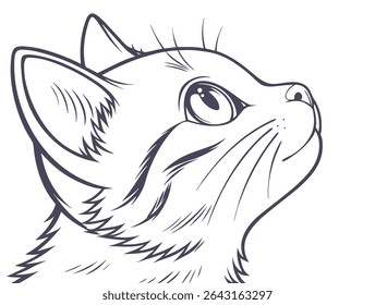 Cat face. Drawn cat head. Vector illustration
