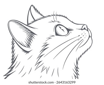 Cat face. Drawn cat head. Vector illustration