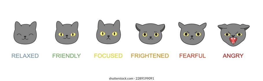 Cat face emotions behavior signals. Frightened focused fearful angry friendly and relaxed. Cute cartoon domestic animals or pet