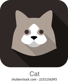 serie de iconos planos de la cara del gato