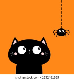 Cat face head looking at hanging spider insect. Cute cartoon character icon. Kawaii animal. Happy Halloween. Notebook cover, tshirt, greeting card, sticker print. Flat design. Orange background Vector