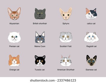 Cat face head set ,cat breeds portraits collection isolated 