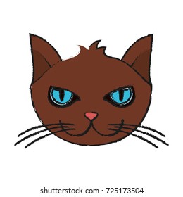 cat face icon image