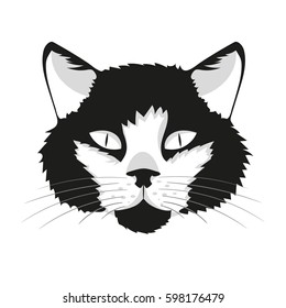 Cat face illustration