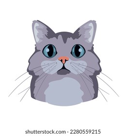 cat face illustration over white