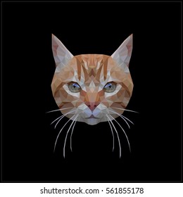 Cat face in modern low poly design. Animal illustration. Kitten isolated vector.