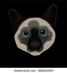 cat face on black background