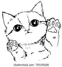 Cat Face Portrait