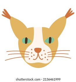 Cat Face Portrait - Maine Coon. Vector illustration.