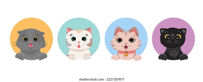 Cat face portrait set of different breeds. Funny kitten kawaii avatars for social media profile, baby printing, children birthday design. Vector cartoon illustration 