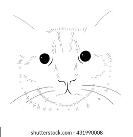Cat face sans outline