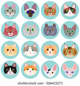 cat face set with circle