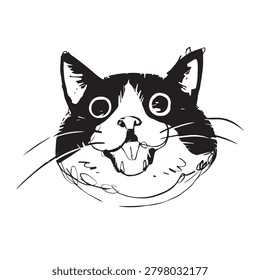 Cat Face 
Sketch Drawing