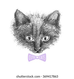 cat face sketch, vector hand drawn illustration