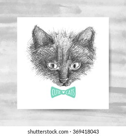 cat face sketch, vector hand drawn illustration