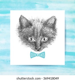 cat face sketch, vector hand drawn illustration