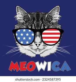 CAT FACE WITH SUNGLASSES WITH AMERICAN ELEMENTS