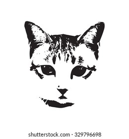 cat face vector