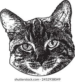 Vector de cara de gato blanco y negro