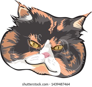 cat face vector cute cat cartoon