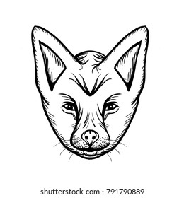 Cat face vector illustration